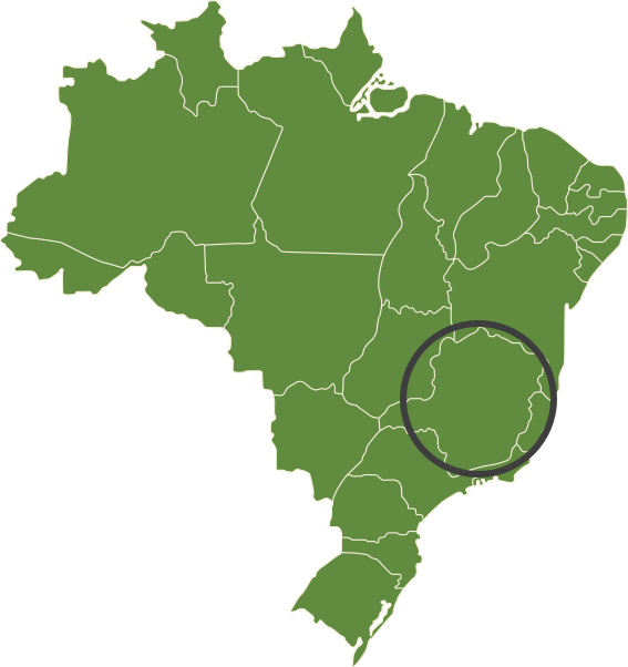 Brazil map, circle Minas Gerais